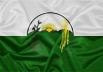 Bandeira Brasão de São José do Alegre