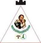 Bandeira Brasão de São José do Goiabal