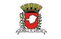 Bandeira Brasão de São Miguel do Anta