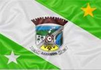 Bandeira Brasão de Sarzedo