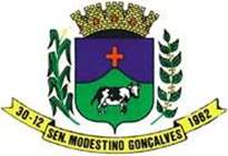 Bandeira Brasão de Senador Modestino Gonçalves