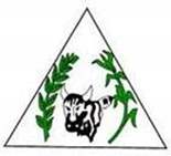 Bandeira Brasão de Serra Azul de Minas