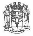 Bandeira Brasão de Serra dos Aimorés