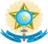 Bandeira Brasão de Serranópolis de Minas