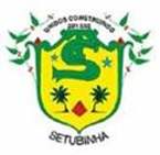 Bandeira Brasão de Setubinha
