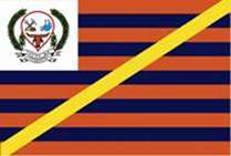 Bandeira Brasão de Tapira