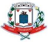 Bandeira Brasão de Teixeiras