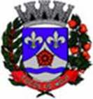 Bandeira Brasão de Tocos do Moji