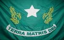 Bandeira Brasão de Tupaciguara