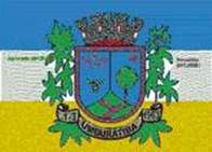 Bandeira Brasão de Umburatiba