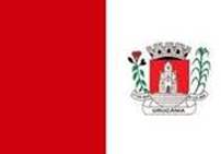 Bandeira Brasão de Urucânia