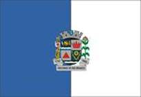 Bandeira Brasão de Visconde do Rio Branco